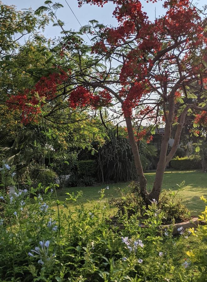 The Residence Villa Chobe Kasane Eksteriør billede